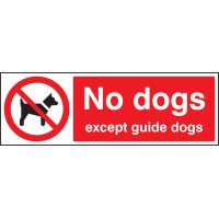No Dogs Except Guide Dogs - TESTTTTT!!!!! No Dogs Except Guide Dogs - TESTTTTT!!!!!