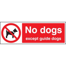 No Dogs Except Guide Dogs - TESTTTTT!!!!! No Dogs Except Guide Dogs - TESTTTTT!!!!!